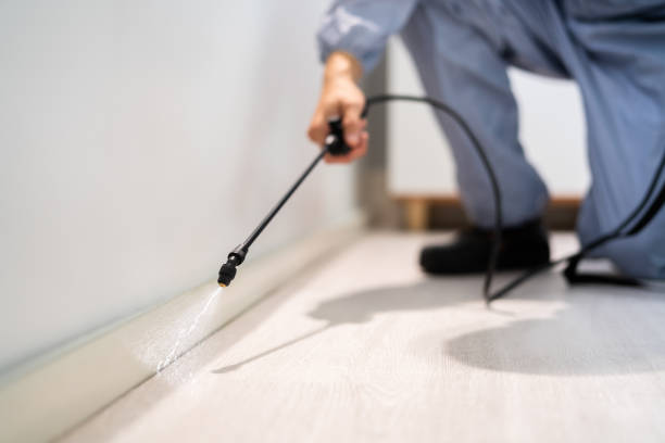 Licensed Cockroach Control service in Almont, MI - Nex Pest Control