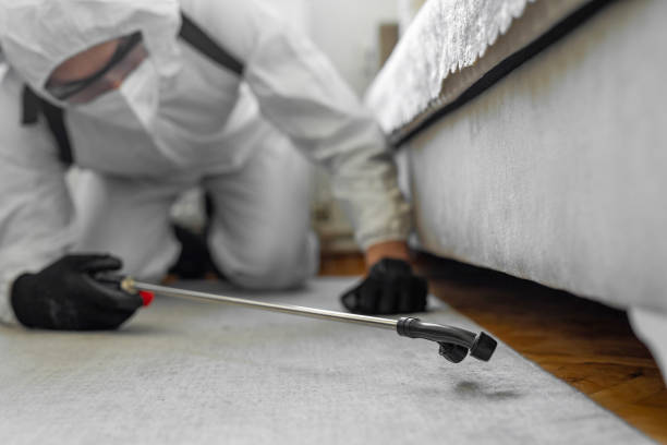 Professional Cockroach Control technician working in Almont, MI