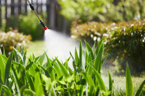 24/7 Emergency Cockroach Control experts in Almont, MI