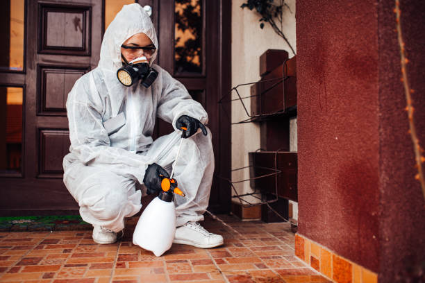 Reliable Cockroach Control contractor in Almont, MI by Nex Pest Control