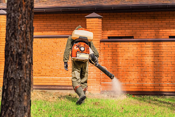 Top rated local Cockroach Control specialists in Almont, MI